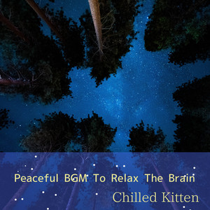 Chilled Kitten《Cradling Silence of the Night》