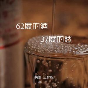 王梓屹《62度的酒37度的愁》[MP3_LRC]