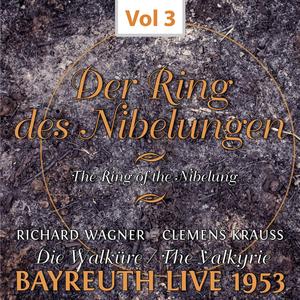 Ramon Vinay&Orchester der Bayreuther Festspiele&Clemens Krauss《Die Walküre. 1. Aufzug. 3. Szene: Ein Schwert verhieß mir der Vater》[MP3_LRC]