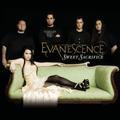 Evanescence《Weight Of The World (Live From Tokio)》[MP3_LRC]