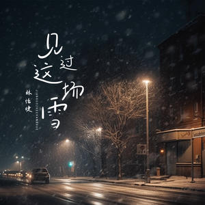 林怡婕《见过这场雪(就当见过面)》[MP3_LRC]