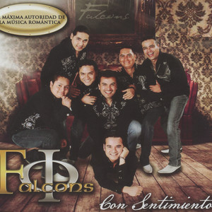 Falcons《Enamorado De Ti》[MP3_LRC]