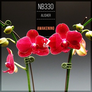 Alisher《Awakening(Original Mix)》[MP3_LRC]