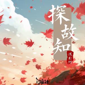 浅影阿《探故知(超梦幻DJ版)》[MP3_LRC]