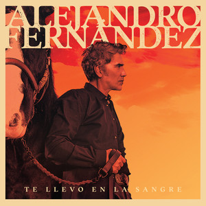 Alejandro Fernández《Dímelo En La Cara》[MP3_LRC]