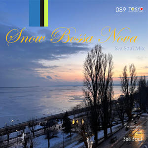 Dormidontov&Sea Soul《Snow Bossa Nova(Sea Soul Remix)》[MP3_LRC]