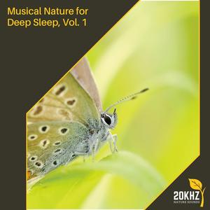 Yanlin Tung Nature《Simplistic Distant Wind》[MP3_LRC]