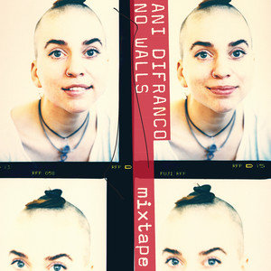 Ani Difranco《As Is》