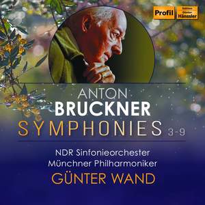 Gunter Wand&NDR Symphony Orchestra《II. Adagio. Sehr feierlich und sehr langsam(Live)》[MP3_LRC]