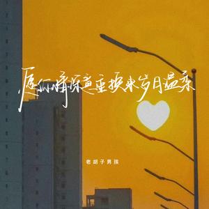 老胡子男孩《愿你情深意重换来岁月温柔》[MP3_LRC]