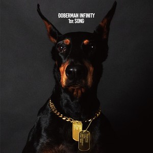 DOBERMAN INFINITY《1st SONG》[MP3_LRC]_高音质mp3下载