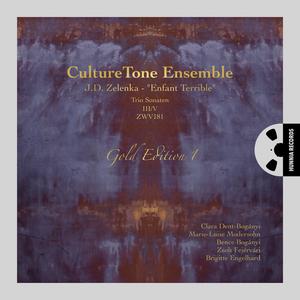 CultureTone Ensemble&Clara Dent-Bóganyi&Marie-Luise Modersohn&Bence Bogányi&Zsolt Fejervari&Brigitte Engelhard《Adagio cantabile》[MP3_LRC]