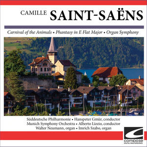 Munich Symphony Orchestra《Saint-Saëns - Organ Symphony No. 3 in  C minor - Maestoso-Allegro moderato》[MP3_LRC]