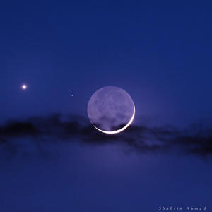 MelodyVibes《Lullaby of the Waves》