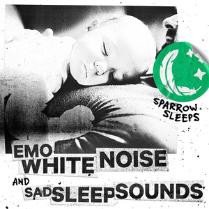 Sparrow Sleeps《Never Take Fire Pits Personal (Loopable)》[MP3_LRC]