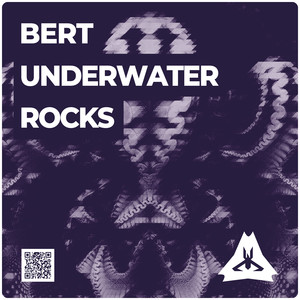 Bert《Underwater Rocks》