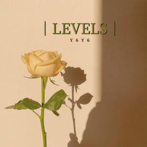 Y6Y6_LEVELS(1.0X)MP3免费下载,LEVELS(1.0X)LRC歌词下载-爱听音乐网