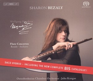 Sharon Bezaly&Ostrobothnian Chamber Orchestra&Juha Kangas《II. Andante ma non troppo》[MP3_LRC]