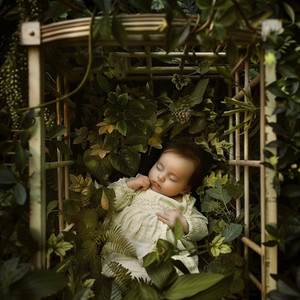 Canción de Cuna Clásica&Musica de Cuna&Nanas Bebe Dormir《Ecos De Canciones Del Bosque》
