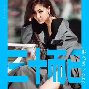 郭飞宏《三十而已（DJ武圣雄版）》
