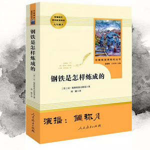简称A《钢铁是怎样炼成的-第165集》