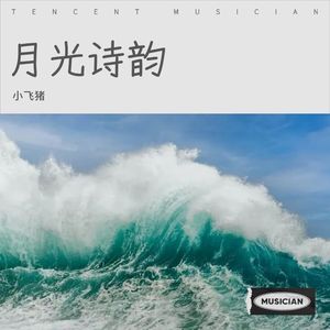 小飞猪《月光诗韵》