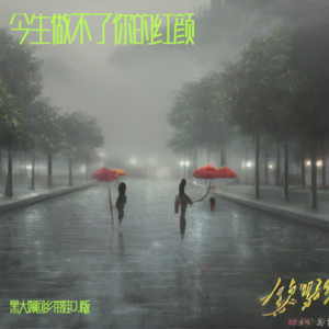 黑大婶回乡带娃《今生做不了你的红颜(DJ何友版)》