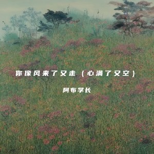 阿布学长《你像风来了又走》[MP3_LRC]_高音质mp3下载