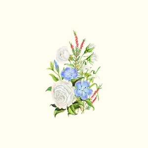 柿崎ユウタ《ブルーベリージャム》