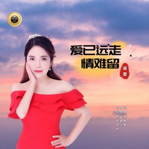 蒋婴《爱已远走情难留 （女声版）(伴奏)》[MP3_LRC]