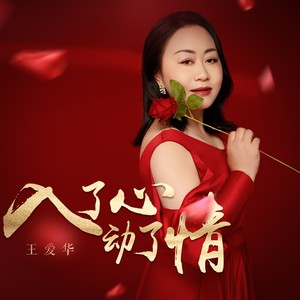王爱华《入了心动了情（DJLive合唱版）》