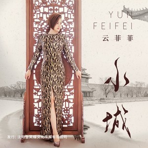 云菲菲《小城(DJ何鹏版)》