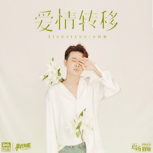 小阿枫《爱情转移》