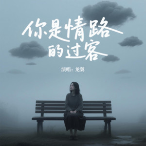龙翼《你是情路的过客》