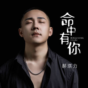 郝琪力《命中有你》