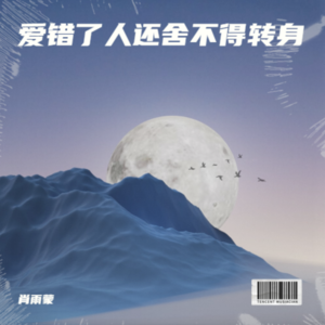 肖雨蒙《爱错了人还舍不得转身》