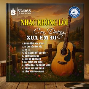 Nhạc Sống VN365《Khuya Nay Anh Đi Rồi (Nhạc Không Lời) - Hòa Tấu Guitar》