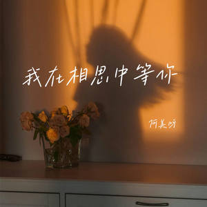 阿美呀《我在相思中等你》