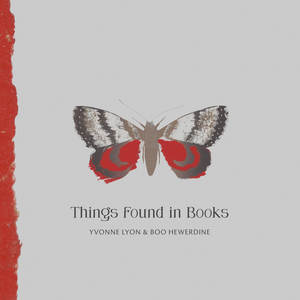 Yvonne Lyon&Boo Hewerdine《The Things You Find In Books》