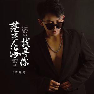 王梓屹《茫茫人海找寻你》[MP3_LRC]