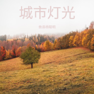 攸县杨聪明《离乡追梦人》