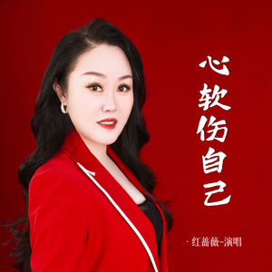 红蔷薇《心软伤自己》