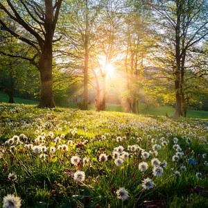 Happy Relaxing Piano Music&Modern Hymns&Hidden Gems Nature《Living In The Pulse Of Now》