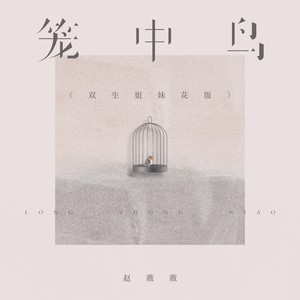 赵薇薇《笼中鸟》