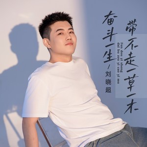 刘晓超《奋斗一生带不走一草一木（DJ阿能版）》[MP3_LRC]