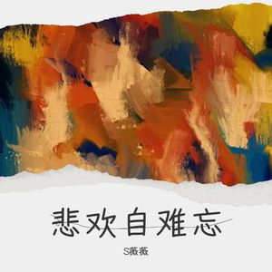 S薇薇《途中碰撞》