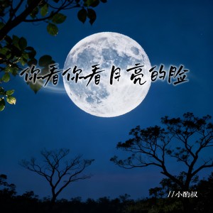 小酌叔《你看你看月亮的脸(月亮的脸偷偷的在改变)》