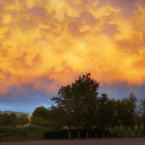 逯学军《秋去冬来伴奏》