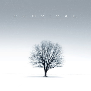 Survival《Terrain》
