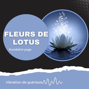 Zen Musique Détente&Esperanza Zen&Vibration de guérison《Instructeurs de Tai Chi - Ressac de l'océan》